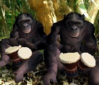 Djembé