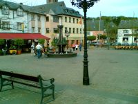 Ulmen