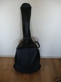 Nog een gitaar