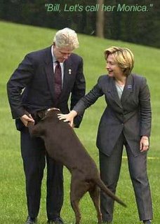 Bill let's call her Monica - Dog Joke