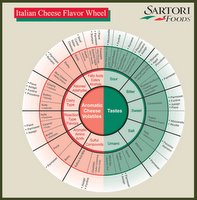 italian cheese flavour wheel