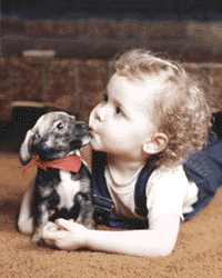 Mascotas - Una buena amistad,  los chicos y sus mascotas