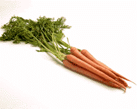 Nutrición - La zanahoria está calificada como una verdadera maravilla