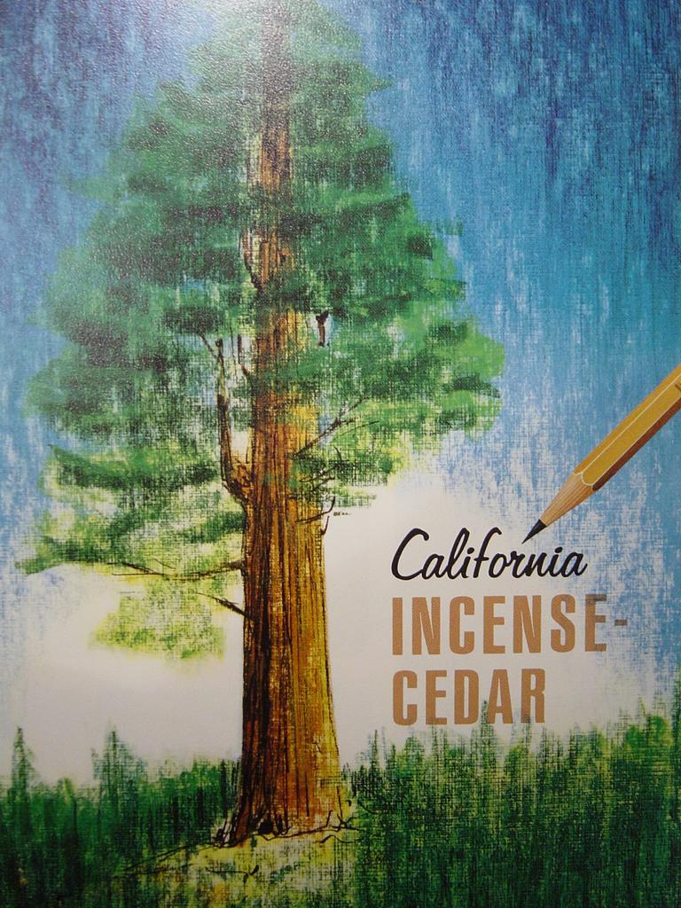 Why Incense Cedar? – CalCedar