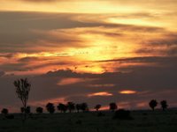 Central Queensland Sunset