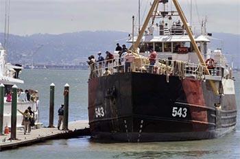 The White Holly, which served in World War II as a Navy yard freighter on San Francisco Bay, is beginning a new life -- as an oceanographic research vessel for a scientific expedition that seeks to discover how and why so many of the Earth's coral reefs are dying.