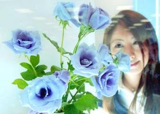 rosas azules