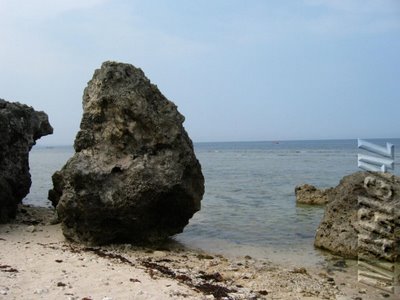 Coral Formations at Currimao, Ilocos