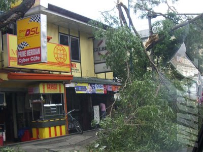 Effects of Typhoon Milenyo