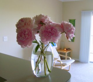 Peonies