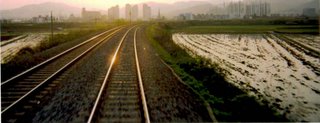 Train Tracks between Gumi & Daegu