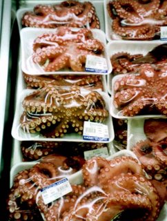 Octopus For Sale