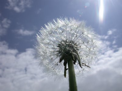 Photo by ImageAfter.com