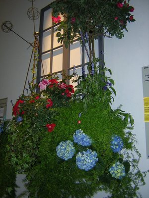 Flowering Window Box ...