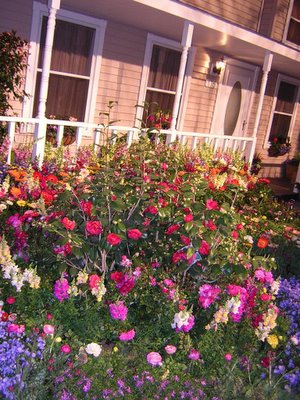 English Country Garden ...