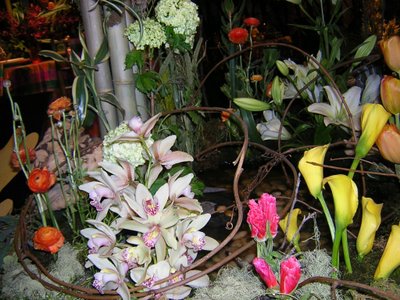 Orchids in the Nesting Mix ...