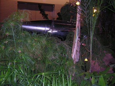 Future Garden: Rocket Crashes ...