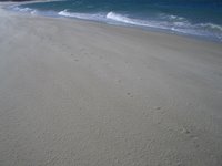 Pegadas na praia Aguieira