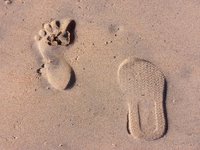 a split personality strolls along the beach