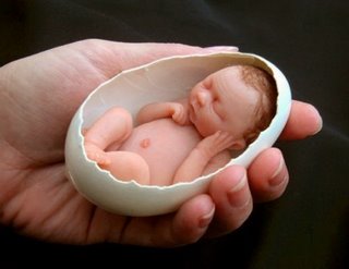 Babies in the eggshell