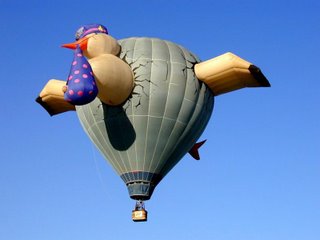 Hot air balloon - bird