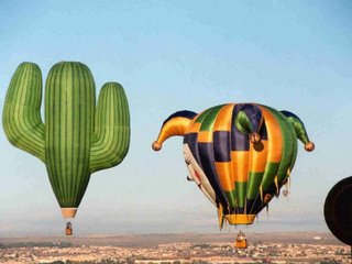 Hot air balloon - cactus