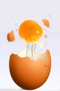 Art of Anti-Gravity - egg