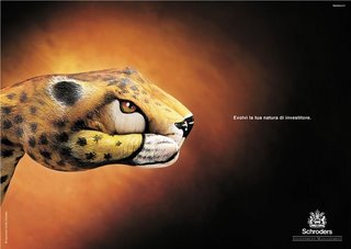 a cheetah
