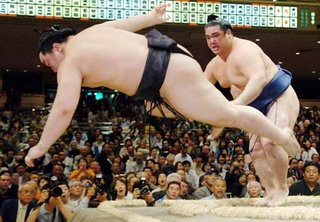 sumo fighter