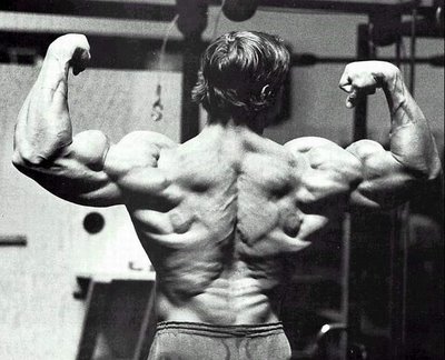 Arnold Schwarzenegger body
