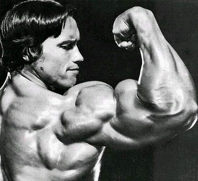 Arnold Schwarzenegger muscle