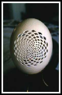 egg shell carving