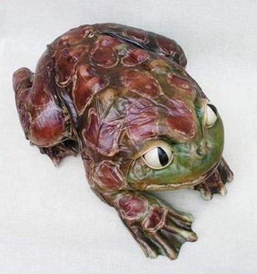 frog pillow for your companion