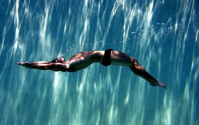 perfect dive. excellent capture by professional photographer