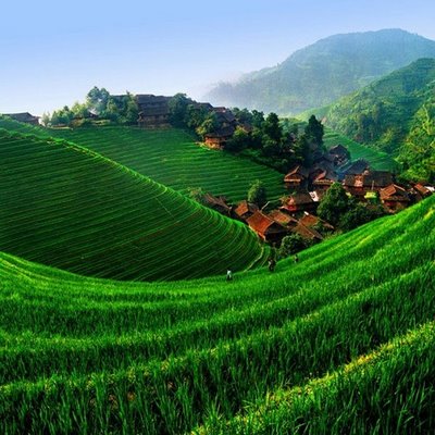 rice terrace in China