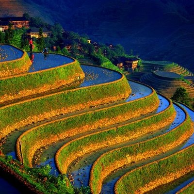 Rice Terrace, Guangxi