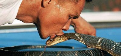 snake charmer in Ripley's Believe it or Not