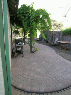 view 1 of patio from back yard