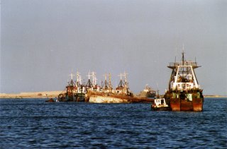 European fishing boats in Mauritanian waters