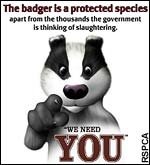 The RSPCA poster