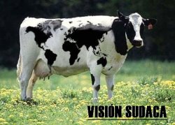 VISION SUDACA - Humor GrÃ¡fico