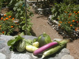 Home grown vegetables, La Ceiba, Honduras