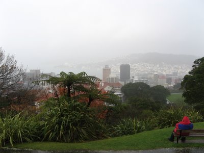 Wet Wellington