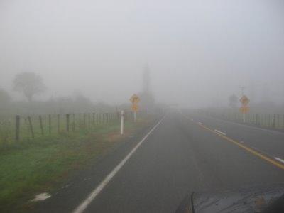 Foggy Drive