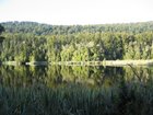 Lake Matheson View