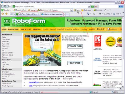 Internet Explorer 7 beta 2 with robo form