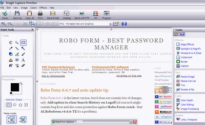 Snagit capture