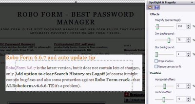 Spotlight and magnify in SnagIt