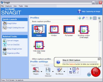 Snagit main window