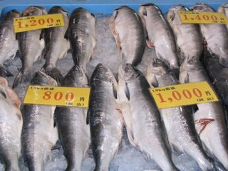 Vismarkt ergens op Hokkaido